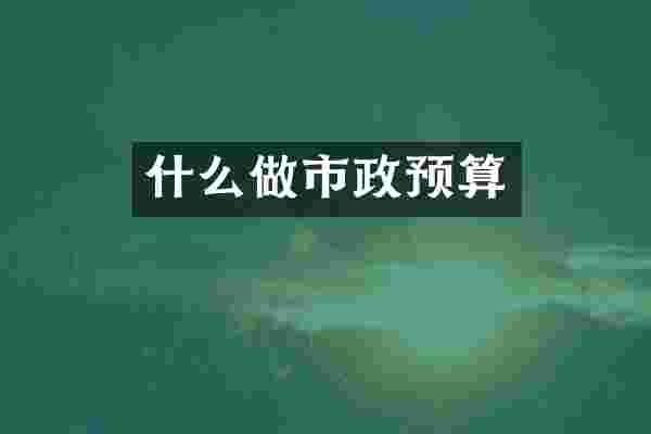 什么做市政预算