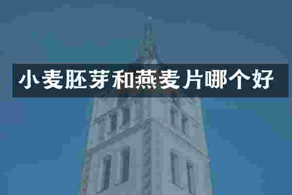 小麦胚芽和燕麦片哪个好