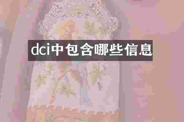 dci中包含哪些信息