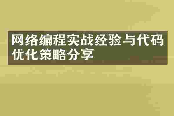 网络编程实战经验与代码优化策略分享