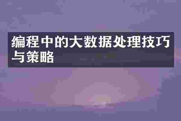 编程中的大数据处理技巧与策略