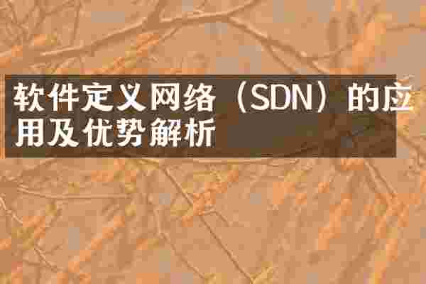 软件定义网络（SDN）的应用及优势解析