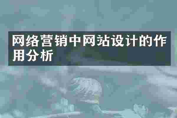 网络营销中网站设计的作用分析