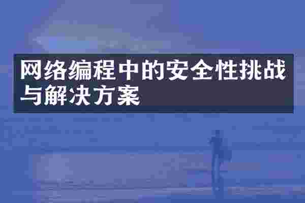 网络编程中的安全性挑战与解决方案