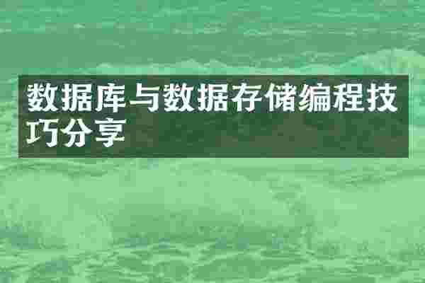 数据库与数据存储编程技巧分享
