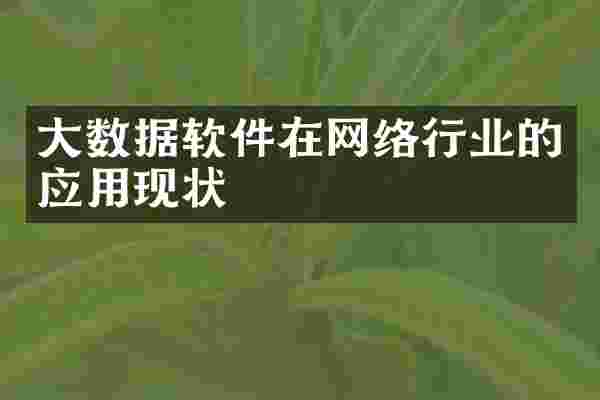 大数据软件在网络行业的应用现状