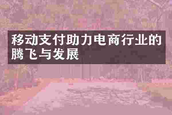 移动支付助力电商行业的腾飞与发展