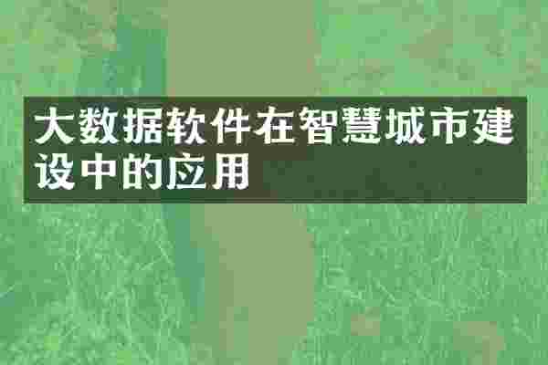大数据软件在智慧城市建设中的应用