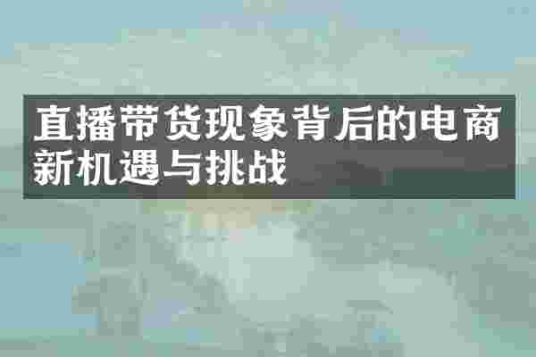 直播带货现象背后的电商新机遇与挑战