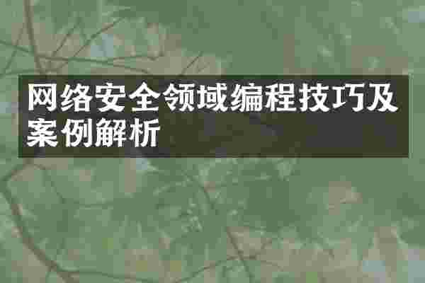 网络安全领域编程技巧及案例解析