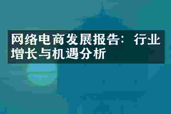 网络电商发展报告：行业增长与机遇分析