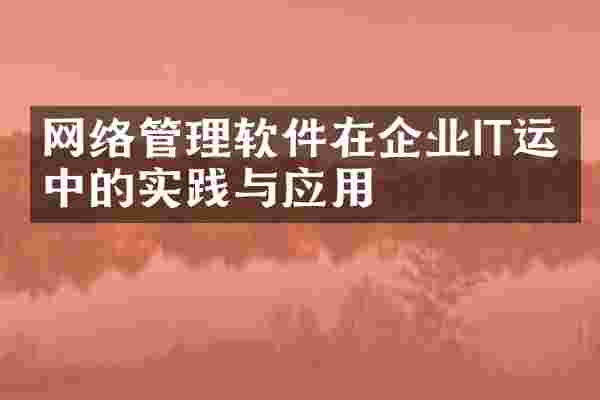 网络管理软件在企业IT运维中的实践与应用