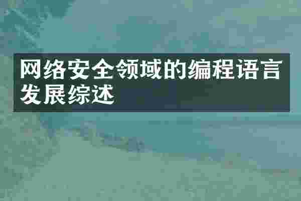 网络安全领域的编程语言发展综述