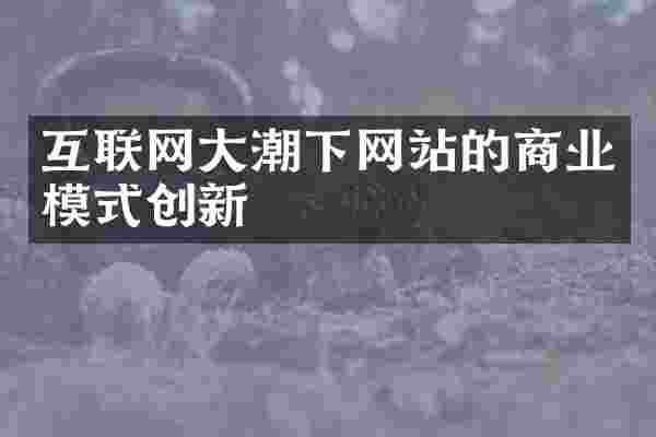 互联网大潮下网站的商业模式创新