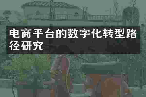 电商平台的数字化转型路径研究