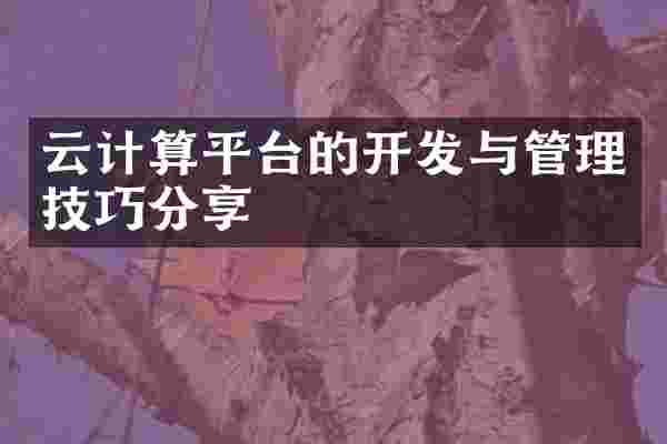 云计算平台的开发与管理技巧分享
