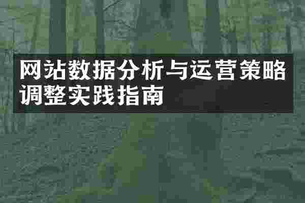 网站数据分析与运营策略调整实践指南