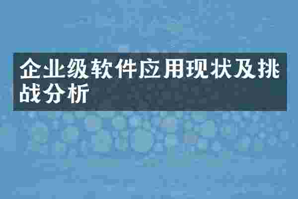 企业级软件应用现状及挑战分析