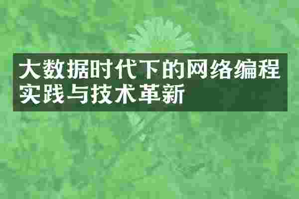 大数据时代下的网络编程实践与技术革新