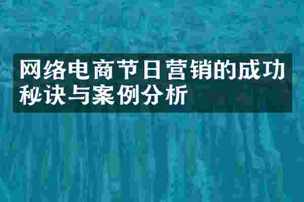 网络电商节日营销的成功秘诀与案例分析