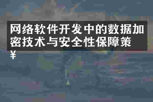网络软件开发中的数据加密技术与安全性保障策略