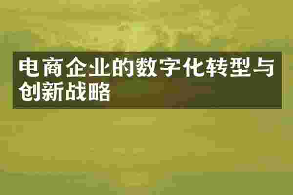 电商企业的数字化转型与创新战略
