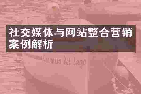 社交媒体与网站整合营销案例解析