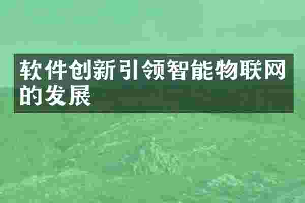 软件创新引领智能物联网的发展