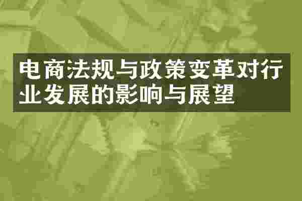 电商法规与政策变革对行业发展的影响与展望