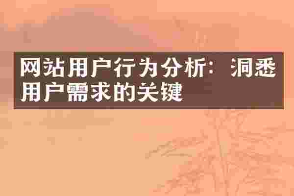 网站用户行为分析：洞悉用户需求的关键