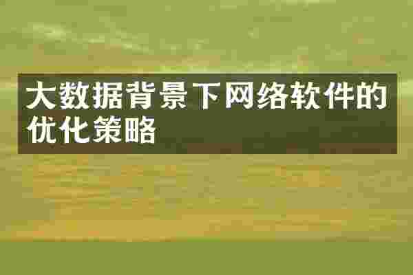 大数据背景下网络软件的优化策略