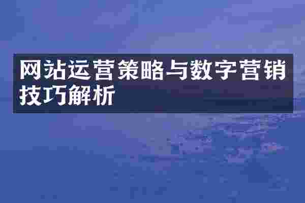 网站运营策略与数字营销技巧解析