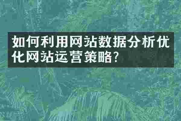 如何利用网站数据分析优化网站运营策略？