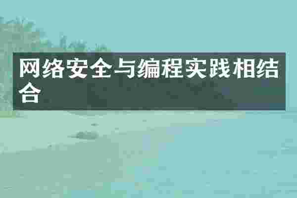 网络安全与编程实践相结合