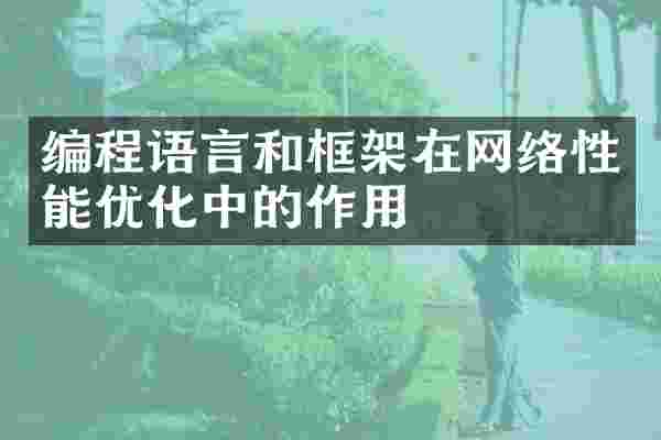 编程语言和框架在网络性能优化中的作用