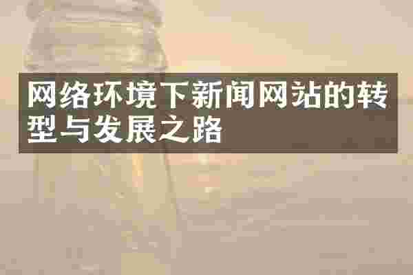 网络环境下新闻网站的转型与发展之路
