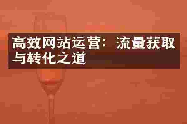 高效网站运营：流量获取与转化之道