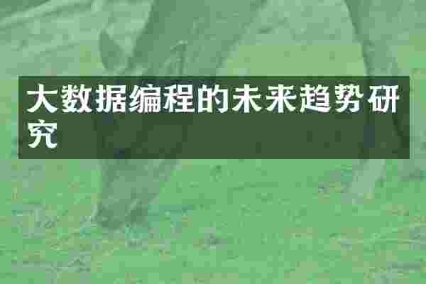 大数据编程的未来趋势研究