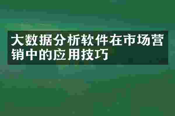 大数据分析软件在市场营销中的应用技巧