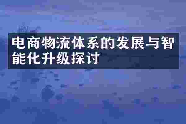 电商物流体系的发展与智能化升级探讨
