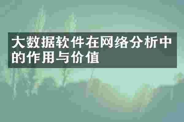 大数据软件在网络分析中的作用与价值