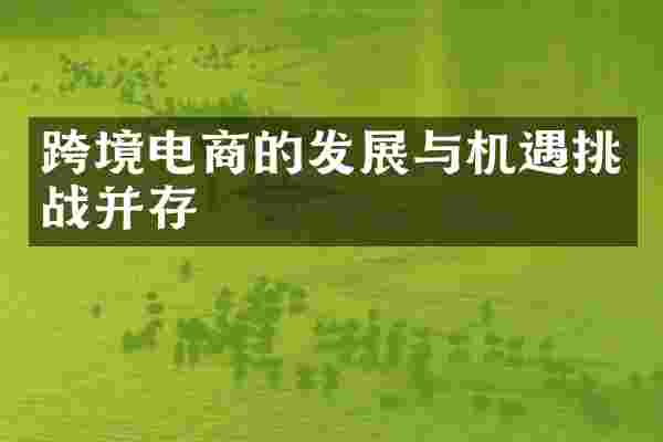 跨境电商的发展与机遇挑战并存