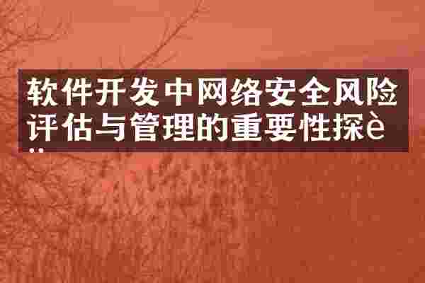 软件开发中网络安全风险评估与管理的重要性探讨
