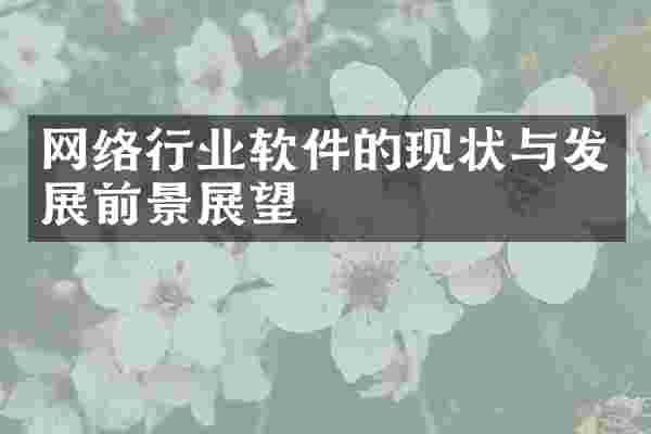 网络行业软件的现状与发展前景展望