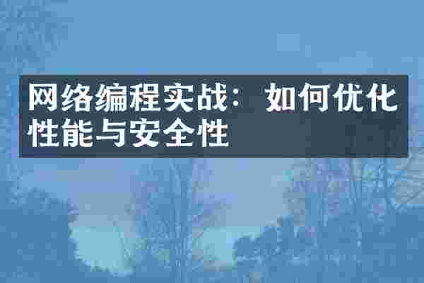 网络编程实战：如何优化性能与安全性