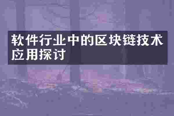 软件行业中的区块链技术应用探讨