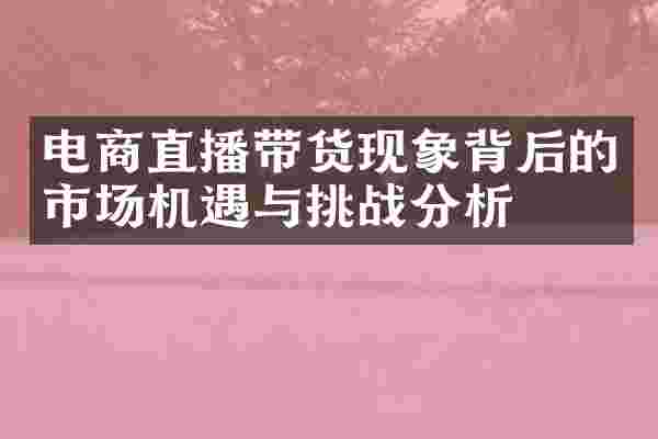 电商直播带货现象背后的市场机遇与挑战分析