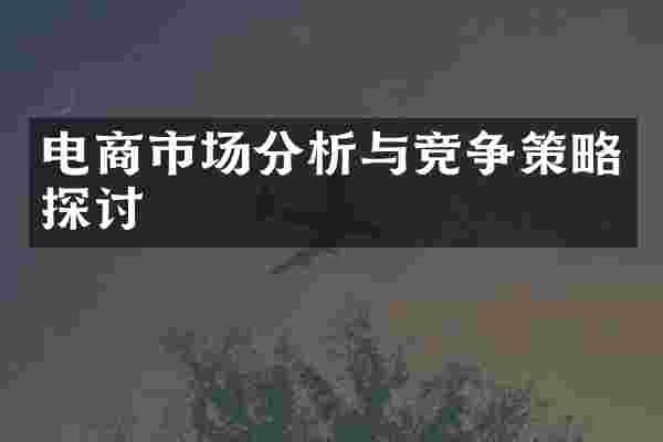 电商市场分析与竞争策略探讨