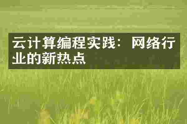 云计算编程实践：网络行业的新热点