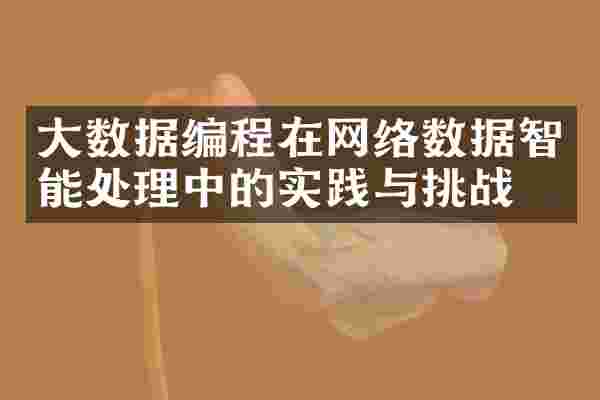 大数据编程在网络数据智能处理中的实践与挑战